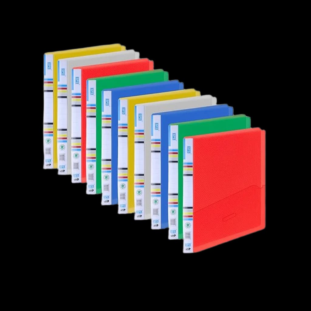A4 Professional Document File