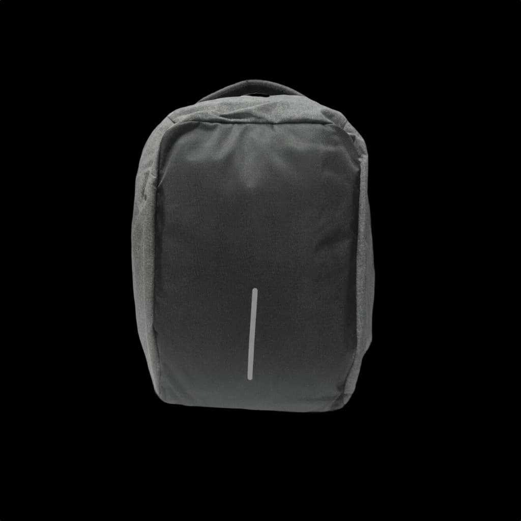 Professional Laptop Backpack